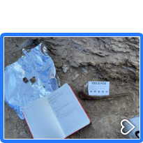 Rib found in Wyoming (2021)